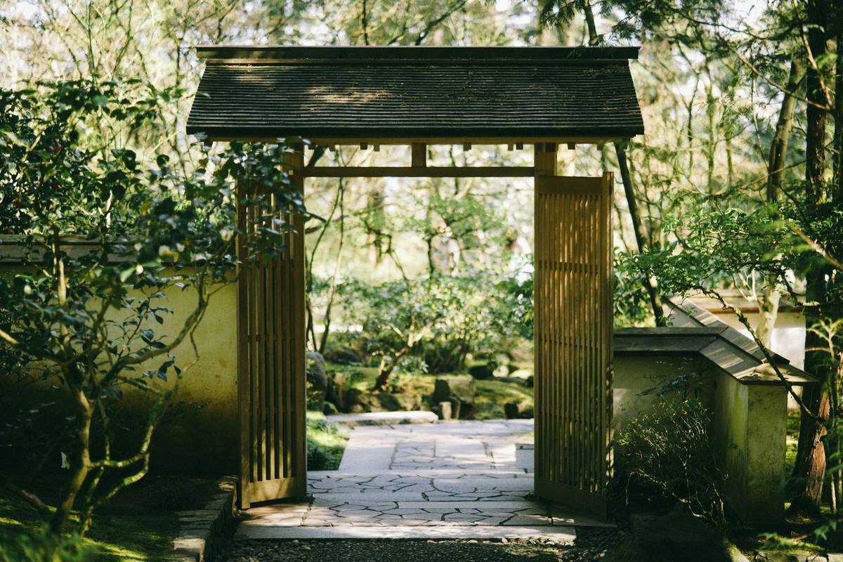 Quiet Retreat: 7 Proven Ways to Avoid the Painful Mistake of False Calm