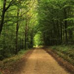 Tranquility Steps: 7 Proven Ways to Achieve Inner Peace Without the Painful Detours