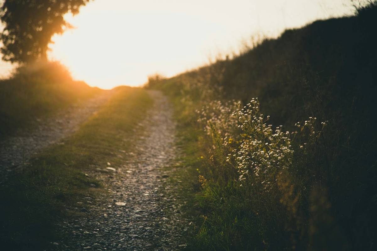 Walking up an outdoor path
